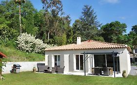 Les Yuccas -Maison neuve avec un jardin à Saint Paul de Vence